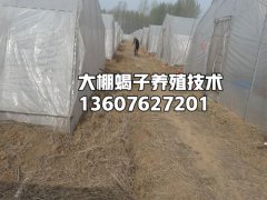 <b>江西省吉水县罗霖蝎子养殖场</b>