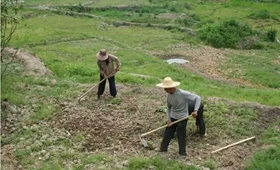 <b> 蝎子养殖技术资料大全，蝎子冬天的饲养方法怎么养殖蝎子</b>