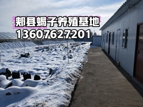 <b>甘肃陇南市兴旺特种蝎子养殖有限公司</b>