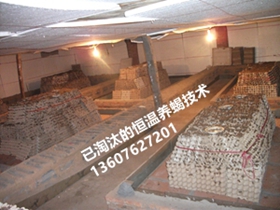 <b>中国较大的蝎子养殖场展示，室内恒温蝎子养殖的弊端 </b>