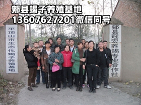 <strong>什么样的人不适合养殖蝎子</strong>