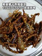 <strong>干蝎子多少钱一斤活蝎子什么价格2025年8月21日最新价格行情</strong>
