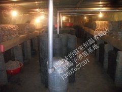 <strong>蝎子最新的养殖方法新手养殖蝎子养殖蝎子的忠告蝎子养殖的真实现状养蝎子投</strong>