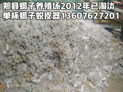 <strong>蝎子养殖采用单体蜕皮盘蜕皮和单杯产子技术谁挣钱了？出来说说</strong>