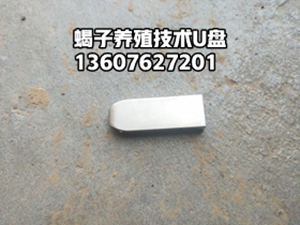 <strong>在家不出门也能学会养蝎技术，蝎子养殖技术教程培训u盘</strong>