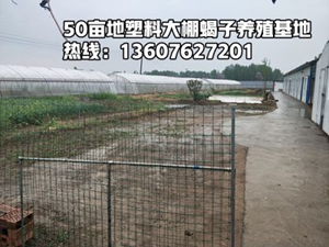 <strong>塑料大棚蝎子养殖成本多高利润多大？一个蝎子养殖大棚挣多少钱？</strong>