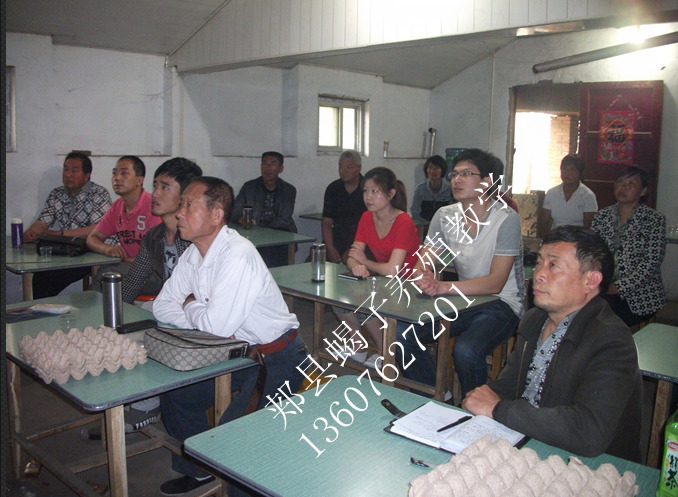 <strong>30分钟蝎子养殖技术教程视频展示片。2026年最养蝎技术教材培训</strong>