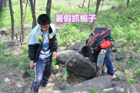 <strong>蝎子养殖需要办理什么手续抓捕捉野生蝎子违法吗？</strong>